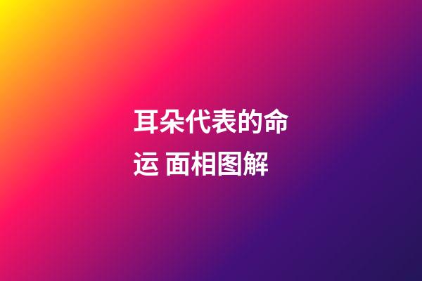 耳朵代表的命运 面相图解